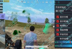 和平精英透视自瞄辅助免费_和平精英自瞄辅助永久最新