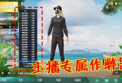怎么才能在和平精英里当巡查员_和平精英巡查员查外挂视角