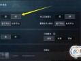 和平精英团队竞技bug_和平精英bug与外挂