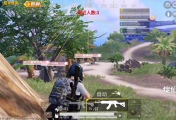 和平精英怎么关闭附近的人_和平精英外挂检测关闭