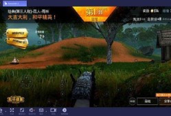 【和平精英自瞄辅助设置指南】_和平精英自瞄辅助怎么设置