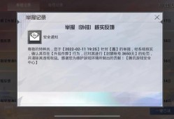 揭秘和平精英外挂：游戏优势与风险详解_和平精英外挂讲解