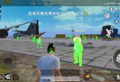 透视技巧揭秘：和平精英中的视觉盛宴与战术策略_和平精英秀透视