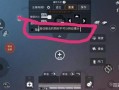 和平精英挂多得没法玩_和平精英外挂玩家vs普通玩家