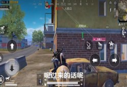 和平精英外软件挂自瞄下载_和平精英透视自瞄锁头挂下载