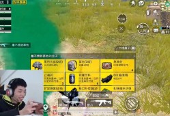 和平精英主播全是挂_和平精英开挂主角是谁啊