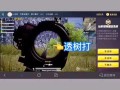 和平精英电脑版透视辅助软件下载_和平精英电脑怎么开透视挂