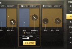和平精英透视自瞄手机版怎么开_和平精英怎样开自瞄