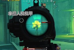 和平精英不小心坐了挂车会怎么样_和平精英外挂车里看不到人