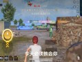 和平精英透视科技正版免费安卓_和平精英一键透视安卓免费版下载