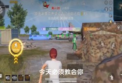 和平精英透视自瞄免费辅助_和平精英自瞄辅助永久oppo
