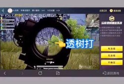 和平精英手机如何开透视_和平精英开透视如何不会被封