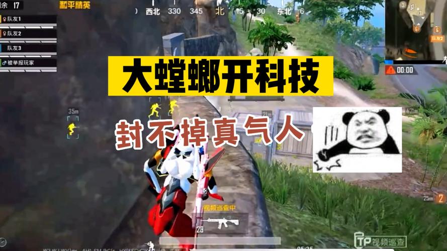 海豚遇到鲨鱼怎么办_鲨鱼遇到外挂化身和平使者 第1张 海豚遇到鲨鱼怎么办_鲨鱼遇到外挂化身和平使者 第1张