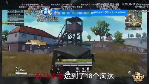和平精英辅助购买平台_和平精英精彩时刻辅助  第1张