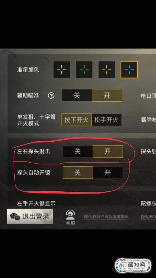 和平精英透视自瞄手机版怎么开_和平精英咋开自瞄  第1张