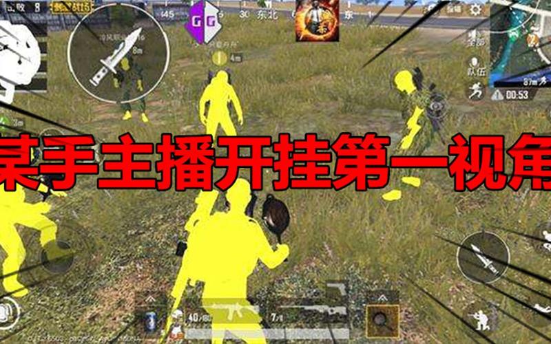 苹果igg和平精英代码_A11和平精英igg透视代码  第1张