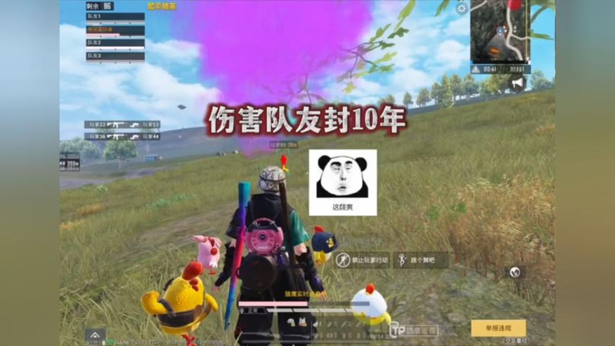 和平精英主播全是挂_和平精英主播被外挂打鸟 第1张 和平精英主播全是挂_和平精英主播被外挂打鸟 第1张