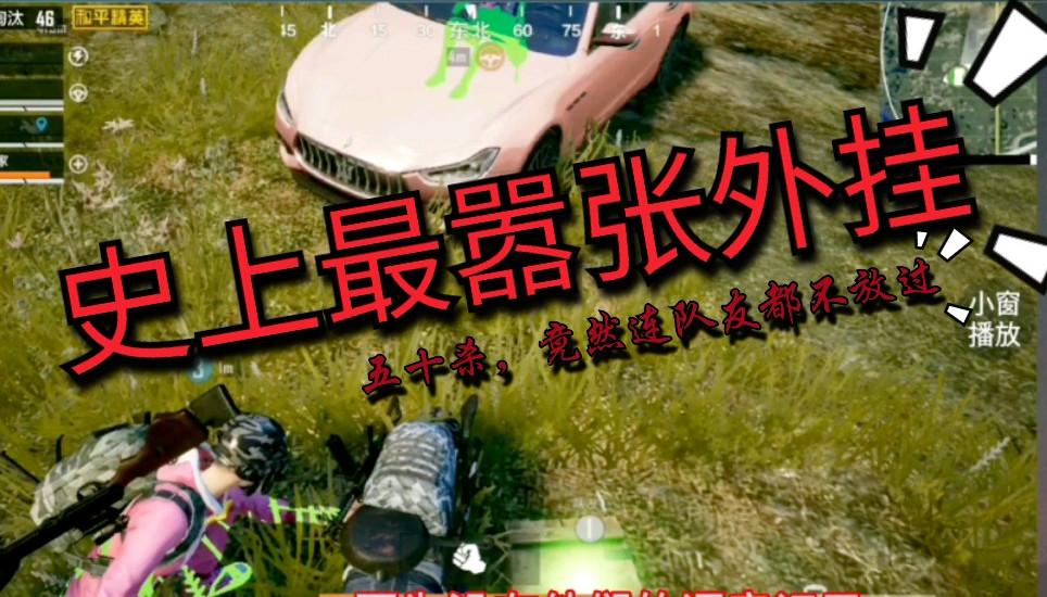 沙雕和平精英的闺蜜网名_和平精英最沙雕外挂  第2张
